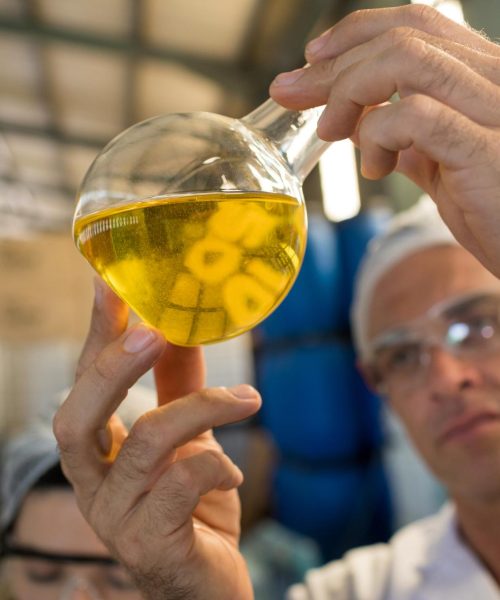 technician-examining-olive-oil-2021-08-28-16-46-16-utc.jpg